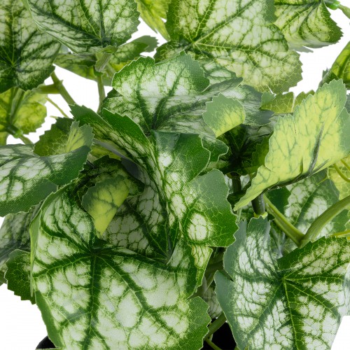 GloboStar® Artificial Garden BEGONIA PLANT 20958 Διακοσμητικό Φυτό Βιγόνια Φ47 x Υ22cm Διακόσμηση - Φως - Χαλιά GloboStar® Artificial Garden BEGONIA PLANT 20958 Διακοσμητικό Φυτό Βιγόνια Φ47 x Υ22cm Διακόσμηση - Φως - Χαλιά