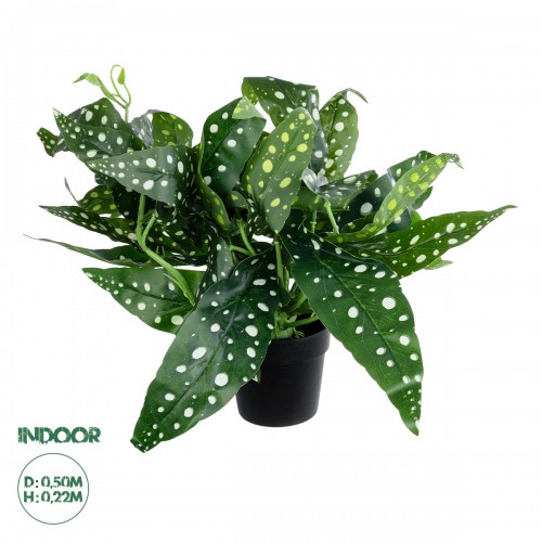 GloboStar® Artificial Garden BEGONIA POLKA DOT PLANT 20959 Διακοσμητικό Φυτό Βιγόνια Φ50 x Υ22cm Διακόσμηση - Φως - Χαλιά GloboStar® Artificial Garden BEGONIA POLKA DOT PLANT 20959 Διακοσμητικό Φυτό Βιγόνια Φ50 x Υ22cm Διακόσμηση - Φως - Χαλιά