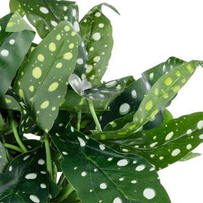 GloboStar® Artificial Garden BEGONIA POLKA DOT PLANT 20959 Διακοσμητικό Φυτό Βιγόνια Φ50 x Υ22cm Διακόσμηση - Φως - Χαλιά GloboStar® Artificial Garden BEGONIA POLKA DOT PLANT 20959 Διακοσμητικό Φυτό Βιγόνια Φ50 x Υ22cm Διακόσμηση - Φως - Χαλιά