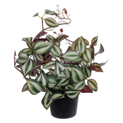 GloboStar® Artificial Garden ZEBRINA PLANT 20961 Διακοσμητικό Φυτό Ζεμπρίνα Φ45 x Υ22cm GloboStar® Artificial Garden ZEBRINA PLANT 20961 Διακοσμητικό Φυτό Ζεμπρίνα Φ45 x Υ22cm