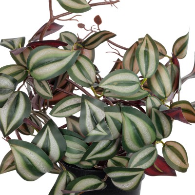 GloboStar® Artificial Garden ZEBRINA PLANT 20961 Διακοσμητικό Φυτό Ζεμπρίνα Φ45 x Υ22cm Διακόσμηση - Φως - Χαλιά