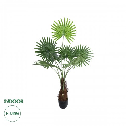 GloboStar® Artificial Garden SERENOA PALM PLANT 20971 Διακοσμητικό Φυτό Φοίνικα Σερενόα Φ60 x Υ140cm Διακόσμηση - Φως - Χαλιά GloboStar® Artificial Garden SERENOA PALM PLANT 20971 Διακοσμητικό Φυτό Φοίνικα Σερενόα Φ60 x Υ140cm Διακόσμηση - Φως - Χαλιά