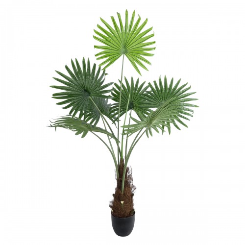 GloboStar® Artificial Garden SERENOA PALM PLANT 20971 Διακοσμητικό Φυτό Φοίνικα Σερενόα Φ60 x Υ140cm Διακόσμηση - Φως - Χαλιά GloboStar® Artificial Garden SERENOA PALM PLANT 20971 Διακοσμητικό Φυτό Φοίνικα Σερενόα Φ60 x Υ140cm Διακόσμηση - Φως - Χαλιά