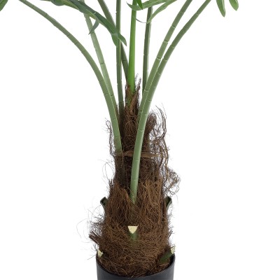 GloboStar® Artificial Garden SERENOA PALM PLANT 20971 Διακοσμητικό Φυτό Φοίνικα Σερενόα Φ60 x Υ140cm Διακόσμηση - Φως - Χαλιά GloboStar® Artificial Garden SERENOA PALM PLANT 20971 Διακοσμητικό Φυτό Φοίνικα Σερενόα Φ60 x Υ140cm Διακόσμηση - Φως - Χαλιά