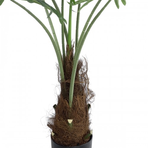 GloboStar® Artificial Garden SERENOA PALM PLANT 20971 Διακοσμητικό Φυτό Φοίνικα Σερενόα Φ60 x Υ140cm Διακόσμηση - Φως - Χαλιά GloboStar® Artificial Garden SERENOA PALM PLANT 20971 Διακοσμητικό Φυτό Φοίνικα Σερενόα Φ60 x Υ140cm Διακόσμηση - Φως - Χαλιά