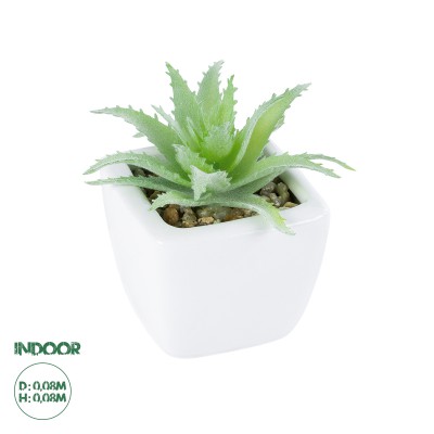 GloboStar® Artificial Garden SUCCULENT ALOE LOTUS PLANT 20976 Διακοσμητικό Φυτό Παχύφυτο Λωτός Αλόης Φ8 x Υ8cm GloboStar® Artificial Garden SUCCULENT ALOE LOTUS PLANT 20976 Διακοσμητικό Φυτό Παχύφυτο Λωτός Αλόης Φ8 x Υ8cm