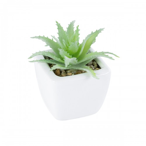 GloboStar® Artificial Garden SUCCULENT ALOE LOTUS PLANT 20976 Διακοσμητικό Φυτό Παχύφυτο Λωτός Αλόης Φ8 x Υ8cm GloboStar® Artificial Garden SUCCULENT ALOE LOTUS PLANT 20976 Διακοσμητικό Φυτό Παχύφυτο Λωτός Αλόης Φ8 x Υ8cm