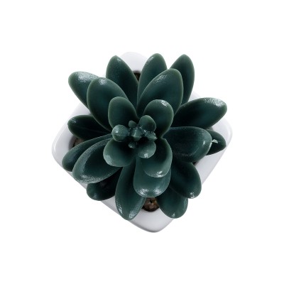 GloboStar® Artificial Garden SUCCULENT SEDEVERIA PLANT 20977 Διακοσμητικό Φυτό Παχύφυτο Σεντεβέρια Φ6 x Υ9cm GloboStar® Artificial Garden SUCCULENT SEDEVERIA PLANT 20977 Διακοσμητικό Φυτό Παχύφυτο Σεντεβέρια Φ6 x Υ9cm