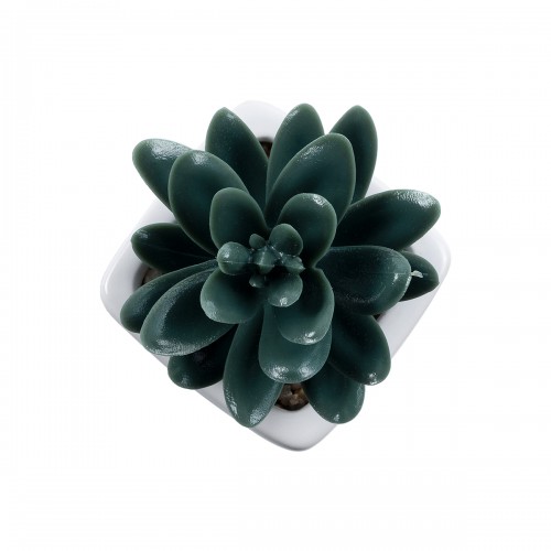 GloboStar® Artificial Garden SUCCULENT SEDEVERIA PLANT 20977 Διακοσμητικό Φυτό Παχύφυτο Σεντεβέρια Φ6 x Υ9cm GloboStar® Artificial Garden SUCCULENT SEDEVERIA PLANT 20977 Διακοσμητικό Φυτό Παχύφυτο Σεντεβέρια Φ6 x Υ9cm