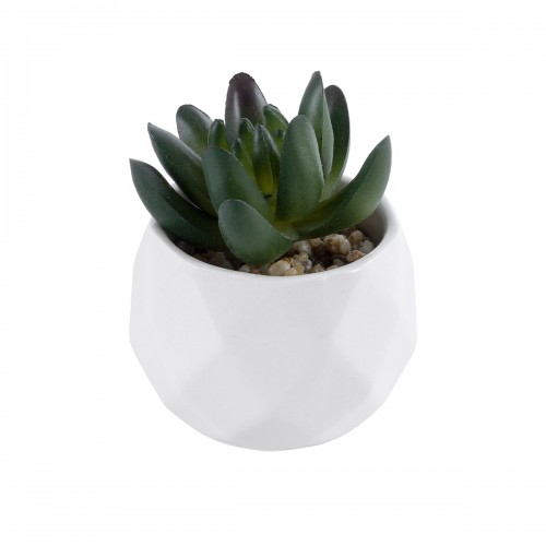 GloboStar® Artificial Garden SUCCULENT CRASSULA 20979 Διακοσμητικό Φυτό Παχύφυτο Κράσουλα Υ9cm GloboStar® Artificial Garden SUCCULENT CRASSULA 20979 Διακοσμητικό Φυτό Παχύφυτο Κράσουλα Υ9cm