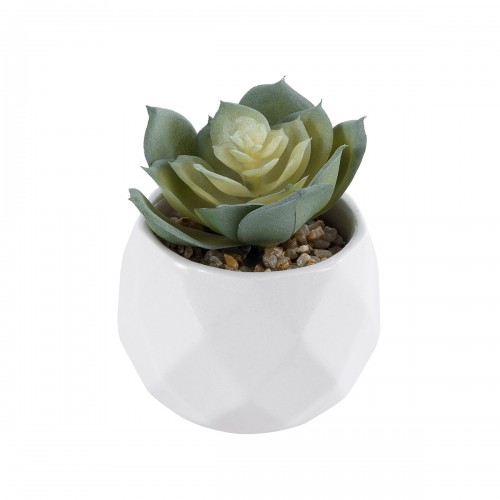GloboStar® Artificial Garden SUCCULENT ECHEVERIA 20980 Διακοσμητικό Φυτό Παχύφυτο Εχεβέρια Υ7.5cm GloboStar® Artificial Garden SUCCULENT ECHEVERIA 20980 Διακοσμητικό Φυτό Παχύφυτο Εχεβέρια Υ7.5cm