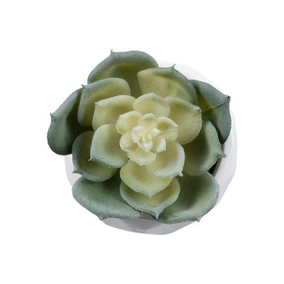 GloboStar® Artificial Garden SUCCULENT ECHEVERIA 20980 Διακοσμητικό Φυτό Παχύφυτο Εχεβέρια Υ7.5cm GloboStar® Artificial Garden SUCCULENT ECHEVERIA 20980 Διακοσμητικό Φυτό Παχύφυτο Εχεβέρια Υ7.5cm