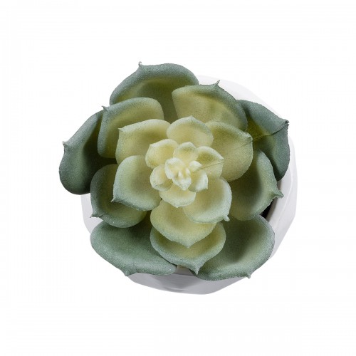 GloboStar® Artificial Garden SUCCULENT ECHEVERIA 20980 Διακοσμητικό Φυτό Παχύφυτο Εχεβέρια Υ7.5cm GloboStar® Artificial Garden SUCCULENT ECHEVERIA 20980 Διακοσμητικό Φυτό Παχύφυτο Εχεβέρια Υ7.5cm