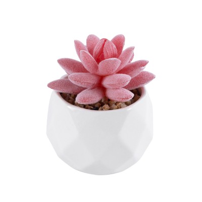 GloboStar® Artificial Garden SUCCULENT SEDEVERIA 20981 Διακοσμητικό Φυτό Παχύφυτο Σεντεβέρια Υ8cm GloboStar® Artificial Garden SUCCULENT SEDEVERIA 20981 Διακοσμητικό Φυτό Παχύφυτο Σεντεβέρια Υ8cm