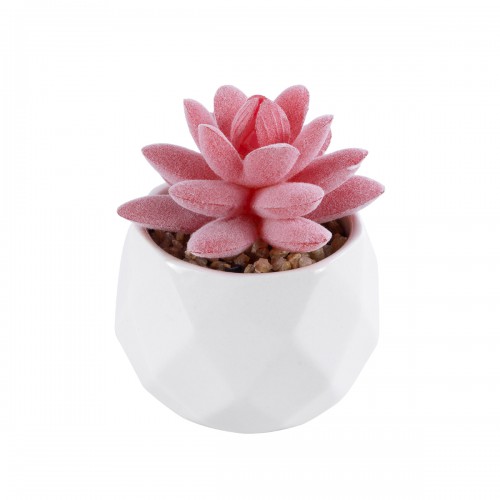 GloboStar® Artificial Garden SUCCULENT SEDEVERIA 20981 Διακοσμητικό Φυτό Παχύφυτο Σεντεβέρια Υ8cm Διακόσμηση - Φως - Χαλιά GloboStar® Artificial Garden SUCCULENT SEDEVERIA 20981 Διακοσμητικό Φυτό Παχύφυτο Σεντεβέρια Υ8cm Διακόσμηση - Φως - Χαλιά