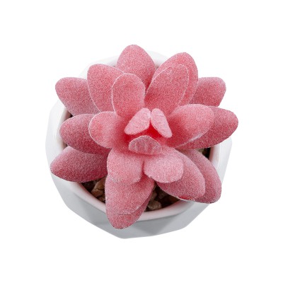 GloboStar® Artificial Garden SUCCULENT SEDEVERIA 20981 Διακοσμητικό Φυτό Παχύφυτο Σεντεβέρια Υ8cm Διακόσμηση - Φως - Χαλιά GloboStar® Artificial Garden SUCCULENT SEDEVERIA 20981 Διακοσμητικό Φυτό Παχύφυτο Σεντεβέρια Υ8cm Διακόσμηση - Φως - Χαλιά