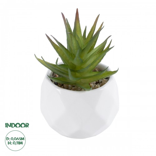 GloboStar® Artificial Garden SUCCULENT ALOE 20982 Διακοσμητικό Φυτό Παχύφυτο Αλόη Υ11cm GloboStar® Artificial Garden SUCCULENT ALOE 20982 Διακοσμητικό Φυτό Παχύφυτο Αλόη Υ11cm