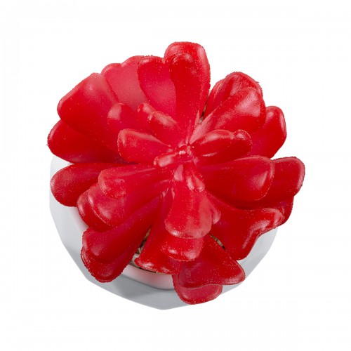 GloboStar® Artificial Garden SUCCULENT CRASSULA 20985 Διακοσμητικό Φυτό Παχύφυτο Κράσουλα Υ10cm GloboStar® Artificial Garden SUCCULENT CRASSULA 20985 Διακοσμητικό Φυτό Παχύφυτο Κράσουλα Υ10cm