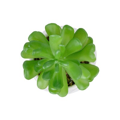 GloboStar® Artificial Garden SUCCULENT CRASSULA POTTED PLANT 20986 Διακοσμητικό Φυτό Κρασούλα Φ6 x Υ10cm GloboStar® Artificial Garden SUCCULENT CRASSULA POTTED PLANT 20986 Διακοσμητικό Φυτό Κρασούλα Φ6 x Υ10cm