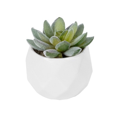 GloboStar® Artificial Garden SUCCULENT SEDEVERIA POTTED PLANT 20987 Διακοσμητικό Φυτό Σεδεβέρια Φ7 x Υ7,5cm GloboStar® Artificial Garden SUCCULENT SEDEVERIA POTTED PLANT 20987 Διακοσμητικό Φυτό Σεδεβέρια Φ7 x Υ7,5cm