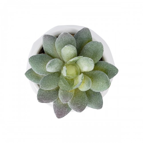 GloboStar® Artificial Garden SUCCULENT SEDEVERIA POTTED PLANT 20987 Διακοσμητικό Φυτό Σεδεβέρια Φ7 x Υ7,5cm Διακόσμηση - Φως - Χαλιά GloboStar® Artificial Garden SUCCULENT SEDEVERIA POTTED PLANT 20987 Διακοσμητικό Φυτό Σεδεβέρια Φ7 x Υ7,5cm Διακόσμηση - Φως - Χαλιά