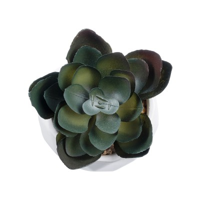 GloboStar® Artificial Garden SUCCULENT ECHEVERIA 20990 Διακοσμητικό Φυτό Παχύφυτο Εχεβέρια Υ8.5cm GloboStar® Artificial Garden SUCCULENT ECHEVERIA 20990 Διακοσμητικό Φυτό Παχύφυτο Εχεβέρια Υ8.5cm