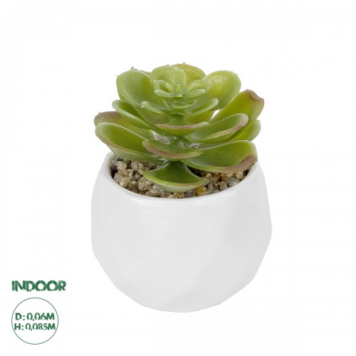 GloboStar® Artificial Garden SUCCULENT ECHEVERIA POTTED PLANT 20991 Διακοσμητικό Φυτό Εχεβέρια Φ6 x Υ8,5cm Διακόσμηση - Φως - Χαλιά GloboStar® Artificial Garden SUCCULENT ECHEVERIA POTTED PLANT 20991 Διακοσμητικό Φυτό Εχεβέρια Φ6 x Υ8,5cm Διακόσμηση - Φως - Χαλιά
