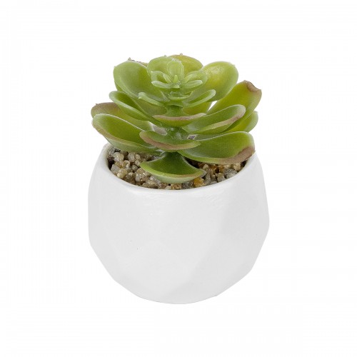 GloboStar® Artificial Garden SUCCULENT ECHEVERIA POTTED PLANT 20991 Διακοσμητικό Φυτό Εχεβέρια Φ6 x Υ8,5cm Διακόσμηση - Φως - Χαλιά GloboStar® Artificial Garden SUCCULENT ECHEVERIA POTTED PLANT 20991 Διακοσμητικό Φυτό Εχεβέρια Φ6 x Υ8,5cm Διακόσμηση - Φως - Χαλιά