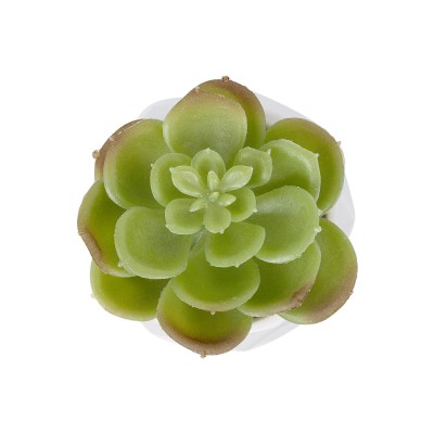 GloboStar® Artificial Garden SUCCULENT ECHEVERIA POTTED PLANT 20991 Διακοσμητικό Φυτό Εχεβέρια Φ6 x Υ8,5cm Διακόσμηση - Φως - Χαλιά GloboStar® Artificial Garden SUCCULENT ECHEVERIA POTTED PLANT 20991 Διακοσμητικό Φυτό Εχεβέρια Φ6 x Υ8,5cm Διακόσμηση - Φως - Χαλιά