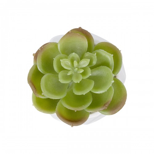 GloboStar® Artificial Garden SUCCULENT ECHEVERIA POTTED PLANT 20991 Διακοσμητικό Φυτό Εχεβέρια Φ6 x Υ8,5cm Διακόσμηση - Φως - Χαλιά GloboStar® Artificial Garden SUCCULENT ECHEVERIA POTTED PLANT 20991 Διακοσμητικό Φυτό Εχεβέρια Φ6 x Υ8,5cm Διακόσμηση - Φως - Χαλιά