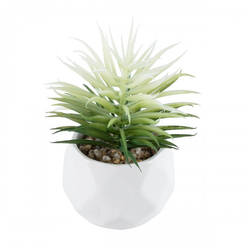 GloboStar® Artificial Garden SUCCULENT SENECIO 20997 Διακοσμητικό Φυτό Παχύφυτο Σενέκιο Υ12cm GloboStar® Artificial Garden SUCCULENT SENECIO 20997 Διακοσμητικό Φυτό Παχύφυτο Σενέκιο Υ12cm