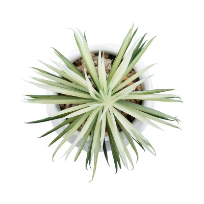 GloboStar® Artificial Garden SUCCULENT SENECIO 20997 Διακοσμητικό Φυτό Παχύφυτο Σενέκιο Υ12cm GloboStar® Artificial Garden SUCCULENT SENECIO 20997 Διακοσμητικό Φυτό Παχύφυτο Σενέκιο Υ12cm