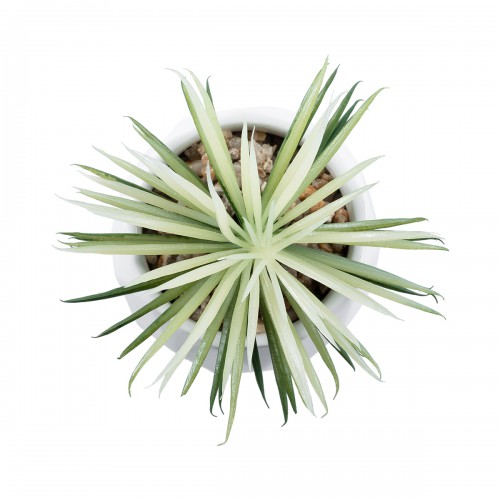 GloboStar® Artificial Garden SUCCULENT SENECIO 20997 Διακοσμητικό Φυτό Παχύφυτο Σενέκιο Υ12cm GloboStar® Artificial Garden SUCCULENT SENECIO 20997 Διακοσμητικό Φυτό Παχύφυτο Σενέκιο Υ12cm