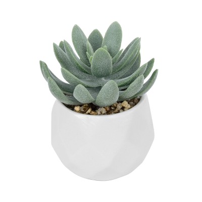 GloboStar® Artificial Garden SUCCULENT SEDEVERIA POTTED PLANT 20998 Διακοσμητικό Φυτό Σεδεβέρια Φ7 x Υ9cm GloboStar® Artificial Garden SUCCULENT SEDEVERIA POTTED PLANT 20998 Διακοσμητικό Φυτό Σεδεβέρια Φ7 x Υ9cm