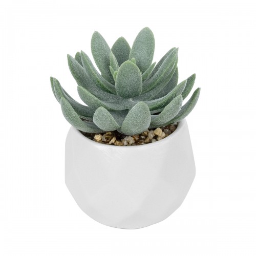 GloboStar® Artificial Garden SUCCULENT SEDEVERIA POTTED PLANT 20998 Διακοσμητικό Φυτό Σεδεβέρια Φ7 x Υ9cm GloboStar® Artificial Garden SUCCULENT SEDEVERIA POTTED PLANT 20998 Διακοσμητικό Φυτό Σεδεβέρια Φ7 x Υ9cm
