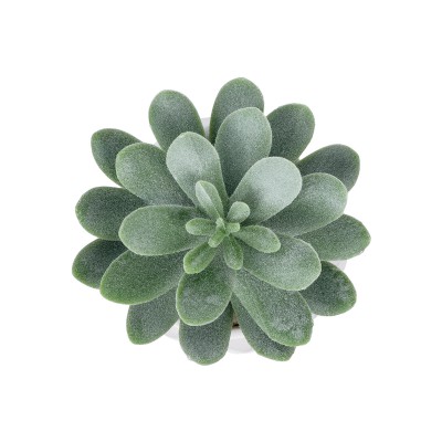 GloboStar® Artificial Garden SUCCULENT SEDEVERIA POTTED PLANT 20998 Διακοσμητικό Φυτό Σεδεβέρια Φ7 x Υ9cm GloboStar® Artificial Garden SUCCULENT SEDEVERIA POTTED PLANT 20998 Διακοσμητικό Φυτό Σεδεβέρια Φ7 x Υ9cm