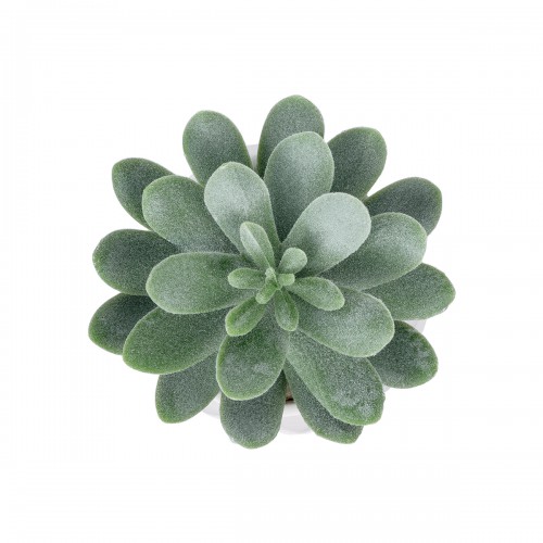 GloboStar® Artificial Garden SUCCULENT SEDEVERIA POTTED PLANT 20998 Διακοσμητικό Φυτό Σεδεβέρια Φ7 x Υ9cm GloboStar® Artificial Garden SUCCULENT SEDEVERIA POTTED PLANT 20998 Διακοσμητικό Φυτό Σεδεβέρια Φ7 x Υ9cm