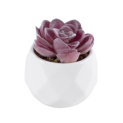 GloboStar® Artificial Garden SUCCULENT ECHEVERIA 21000 Διακοσμητικό Φυτό Παχύφυτο Εχεβέρια Υ7.5cm GloboStar® Artificial Garden SUCCULENT ECHEVERIA 21000 Διακοσμητικό Φυτό Παχύφυτο Εχεβέρια Υ7.5cm