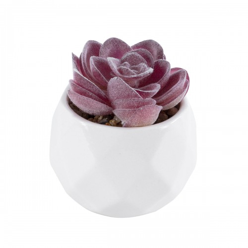 GloboStar® Artificial Garden SUCCULENT ECHEVERIA 21000 Διακοσμητικό Φυτό Παχύφυτο Εχεβέρια Υ7.5cm GloboStar® Artificial Garden SUCCULENT ECHEVERIA 21000 Διακοσμητικό Φυτό Παχύφυτο Εχεβέρια Υ7.5cm