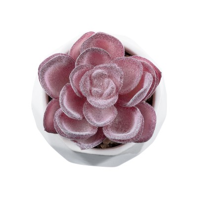 GloboStar® Artificial Garden SUCCULENT ECHEVERIA 21000 Διακοσμητικό Φυτό Παχύφυτο Εχεβέρια Υ7.5cm GloboStar® Artificial Garden SUCCULENT ECHEVERIA 21000 Διακοσμητικό Φυτό Παχύφυτο Εχεβέρια Υ7.5cm