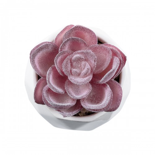 GloboStar® Artificial Garden SUCCULENT ECHEVERIA 21000 Διακοσμητικό Φυτό Παχύφυτο Εχεβέρια Υ7.5cm GloboStar® Artificial Garden SUCCULENT ECHEVERIA 21000 Διακοσμητικό Φυτό Παχύφυτο Εχεβέρια Υ7.5cm