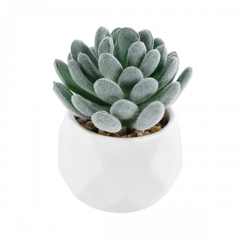 GloboStar® Artificial Garden SUCCULENT SEDEVERIA 21001 Διακοσμητικό Φυτό Παχύφυτο Σεντεβέρια Υ9.5cm Διακόσμηση - Φως - Χαλιά GloboStar® Artificial Garden SUCCULENT SEDEVERIA 21001 Διακοσμητικό Φυτό Παχύφυτο Σεντεβέρια Υ9.5cm Διακόσμηση - Φως - Χαλιά