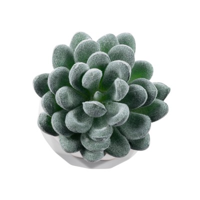 GloboStar® Artificial Garden SUCCULENT SEDEVERIA 21001 Διακοσμητικό Φυτό Παχύφυτο Σεντεβέρια Υ9.5cm Διακόσμηση - Φως - Χαλιά GloboStar® Artificial Garden SUCCULENT SEDEVERIA 21001 Διακοσμητικό Φυτό Παχύφυτο Σεντεβέρια Υ9.5cm Διακόσμηση - Φως - Χαλιά