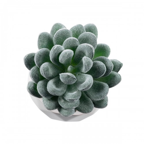 GloboStar® Artificial Garden SUCCULENT SEDEVERIA 21001 Διακοσμητικό Φυτό Παχύφυτο Σεντεβέρια Υ9.5cm Διακόσμηση - Φως - Χαλιά GloboStar® Artificial Garden SUCCULENT SEDEVERIA 21001 Διακοσμητικό Φυτό Παχύφυτο Σεντεβέρια Υ9.5cm Διακόσμηση - Φως - Χαλιά