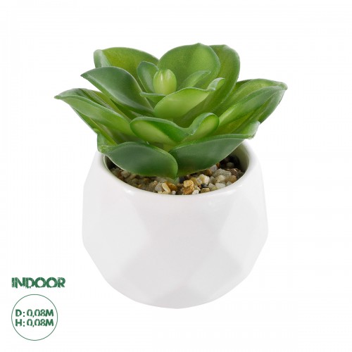 GloboStar® Artificial Garden SUCCULENT ECHEVERIA 21003 Διακοσμητικό Φυτό Παχύφυτο Εχεβέρια Υ8cm Διακόσμηση - Φως - Χαλιά GloboStar® Artificial Garden SUCCULENT ECHEVERIA 21003 Διακοσμητικό Φυτό Παχύφυτο Εχεβέρια Υ8cm Διακόσμηση - Φως - Χαλιά