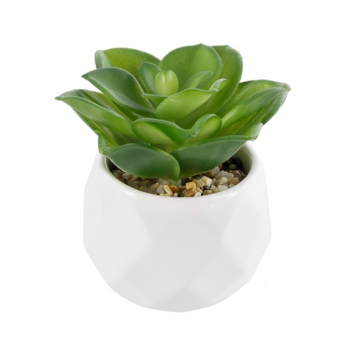 GloboStar® Artificial Garden SUCCULENT ECHEVERIA 21003 Διακοσμητικό Φυτό Παχύφυτο Εχεβέρια Υ8cm Διακόσμηση - Φως - Χαλιά GloboStar® Artificial Garden SUCCULENT ECHEVERIA 21003 Διακοσμητικό Φυτό Παχύφυτο Εχεβέρια Υ8cm Διακόσμηση - Φως - Χαλιά