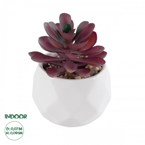 GloboStar® Artificial Garden SUCCULENT CRASSULA 21004 Διακοσμητικό Φυτό Παχύφυτο Κράσουλα Υ9.5cm GloboStar® Artificial Garden SUCCULENT CRASSULA 21004 Διακοσμητικό Φυτό Παχύφυτο Κράσουλα Υ9.5cm