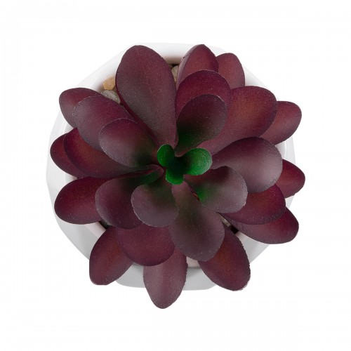 GloboStar® Artificial Garden SUCCULENT CRASSULA 21004 Διακοσμητικό Φυτό Παχύφυτο Κράσουλα Υ9.5cm GloboStar® Artificial Garden SUCCULENT CRASSULA 21004 Διακοσμητικό Φυτό Παχύφυτο Κράσουλα Υ9.5cm
