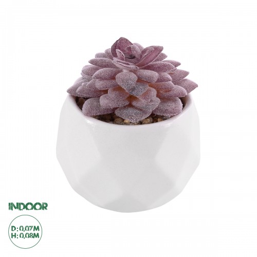 GloboStar® Artificial Garden SUCCULENT SEDEVERIA 21005 Διακοσμητικό Φυτό Παχύφυτο Σεντεβέρια Υ8cm Διακόσμηση - Φως - Χαλιά GloboStar® Artificial Garden SUCCULENT SEDEVERIA 21005 Διακοσμητικό Φυτό Παχύφυτο Σεντεβέρια Υ8cm Διακόσμηση - Φως - Χαλιά