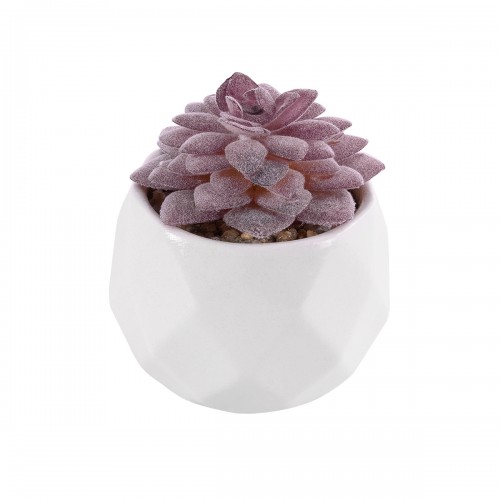GloboStar® Artificial Garden SUCCULENT SEDEVERIA 21005 Διακοσμητικό Φυτό Παχύφυτο Σεντεβέρια Υ8cm Διακόσμηση - Φως - Χαλιά GloboStar® Artificial Garden SUCCULENT SEDEVERIA 21005 Διακοσμητικό Φυτό Παχύφυτο Σεντεβέρια Υ8cm Διακόσμηση - Φως - Χαλιά